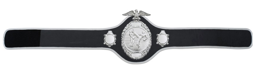 KICKBOXING CHAMPIONSHIP BELT-PRO288/S/KBOS - 10 COLOURS